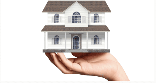 January Newsletter:  Planning for Wildfire